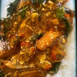 เจ๊แมวตระกล้าแดง