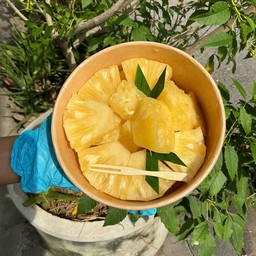 สับปะรดสวนผึ้ง