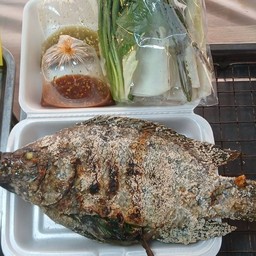 ร้านนาวิกปลาสด ตลาดพอเพียง8