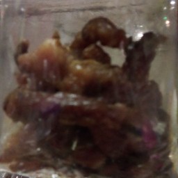 หมูแดดเดียวทอด