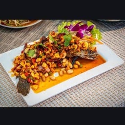 ⭐️ตามสั่งรสเด็ด กองพล93🥇หมูแดดเดียว ผัดซีอิ้วหมู ข้าวคลุกกะปิ ยำแซลมอน ไส้กรอกอีสาน ส้มตำไทย ส้มตำปลาร้า -