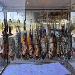 ปลานิลอบโอ่ง1ตัว