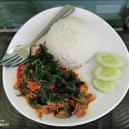 ผัดกะเพราไข่เยี่ยวม้า ราดข้าว