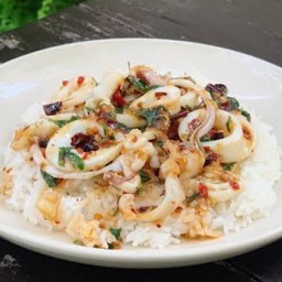 ข้าวกะเพาปลาหมึก