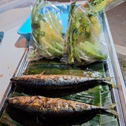 ซาบะย่างคอมมานโด