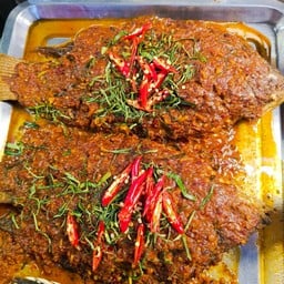 กบ-สอน ปลาลุยสวน