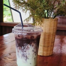 โกโก้มินท์