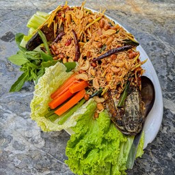 ปลาช่อนลุยสวน (ตัว)