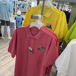 โลตัส บ่อวิน