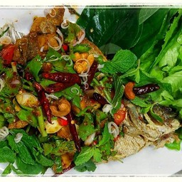 ปลากระพงลุยสวน