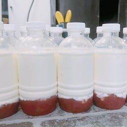 ร้านนมสดสตอเบอรี่ ไม่มี