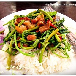 ผัดกระเฉด ราดข้าว