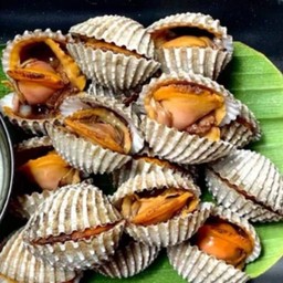 เพิ่ม - หอยแครง