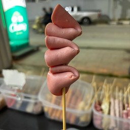 โบโลน่า