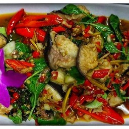 ปลาคังผัดฉ่า