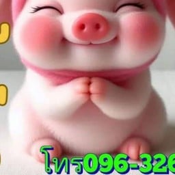 มิสเตอร์คากิ (เสวย) กาดสามแยก