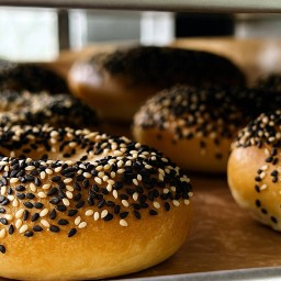 Sesame Bagel SD