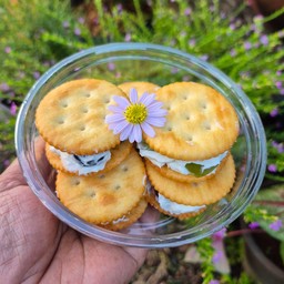 Greek Fruit Sandwich