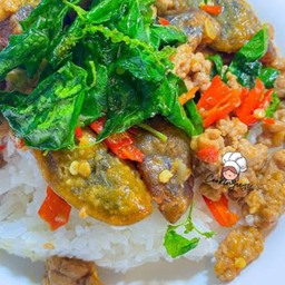 ไข่เยี่ยวม้ากระเพราหมูราดข้าว
