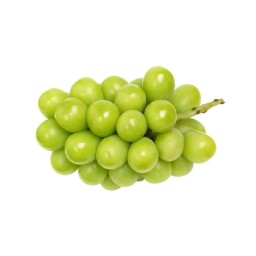 องุ่นไซมัสคัส