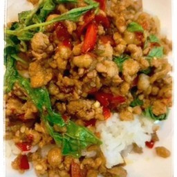 กระเพราหมูสับราดข้าว