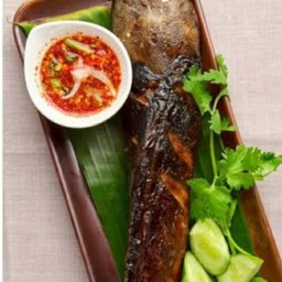 ปลาดุกย่าง