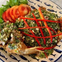 ปลาทับทิมราดมรกต