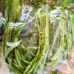 ผักบุ้ง