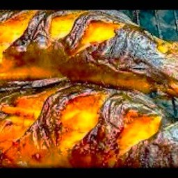 ปลาดุกย่าง