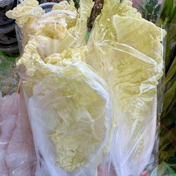 ผัดกาดขาว