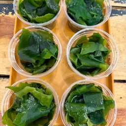 สาหร่าย