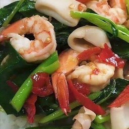 คะน้าทะเล
