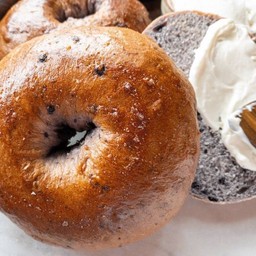 Truffle Bagel SD