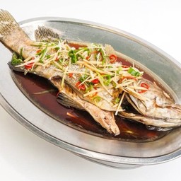 ปลาเก๋านึ่งซีอิ้ว