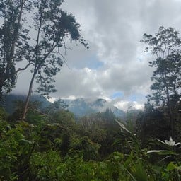 เนินปราบเซียน