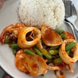 กระเพราทะเล