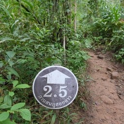 เนินป่าก่อ