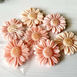 อาลัวดอกเดซี่