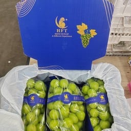 องุ่นไซมัตคัสตรานกแก้ว