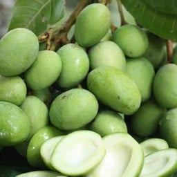 ผลไม้มะม่วงเบาสด ส่งตรงจากภาคใต้ หลากหลายเมนู ตำยำ ราด คลุก เจ้าเก่่าสูตรดั้งเดิม สายไหม