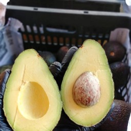 อะโวคาโดแฮส 1 โล