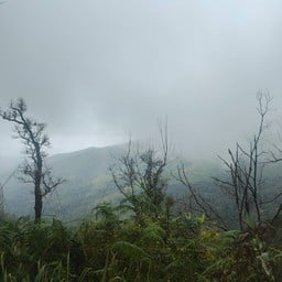 เนินเสือโคร่ง