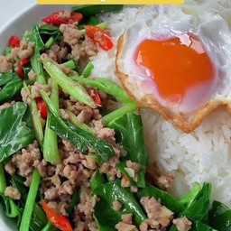 ผัดผักคะน้า