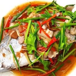 ปลากะพงนึ่งบ๊วย(ตัว)