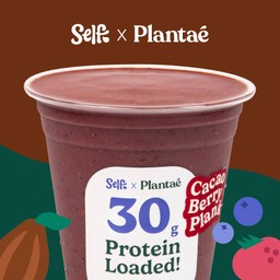 Cacao Berry Plank Protein Smoothie
