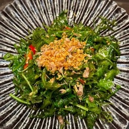 ผักกูดน้ำมันหอย