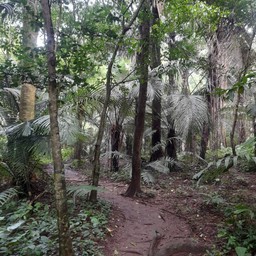 ถ้ำธารลอดใหญ่