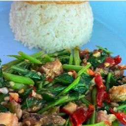 ข้าวคะน้าปลาเค็ม