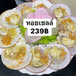 หอยเชลล์