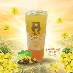 Hop Chafe โลตัสคลองหลวง hopchafe.lotuskhlongluang